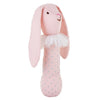 Baby Rattle