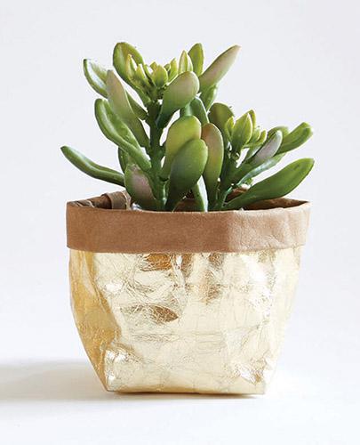 Small Holder