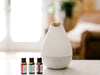 Protection Essential Oil Blend