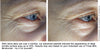 Three Milks Ageless Moisturizer